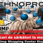 Publicitate ziar 12-2017