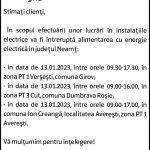 Neamt_10.01(10×12.4)