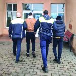 trimisi dupa gratii