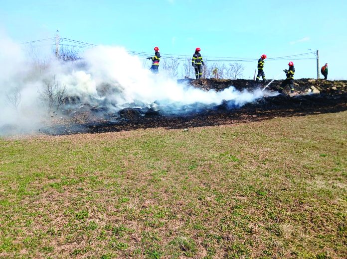 incendiu veg