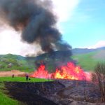 incendiu vegetatie