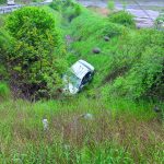 rasturnat1